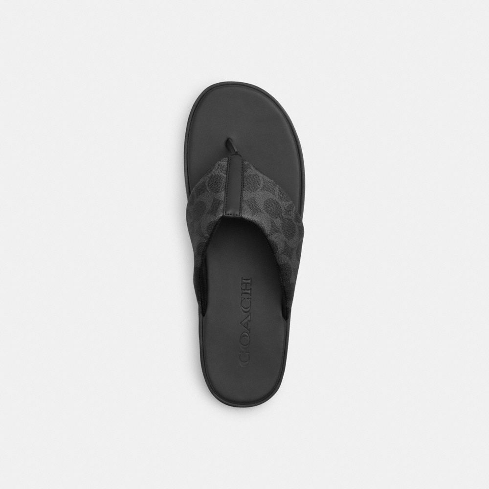 Flip Flop In Signature Canvas