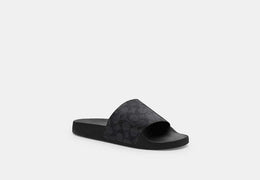 Slide In Signature Canvas