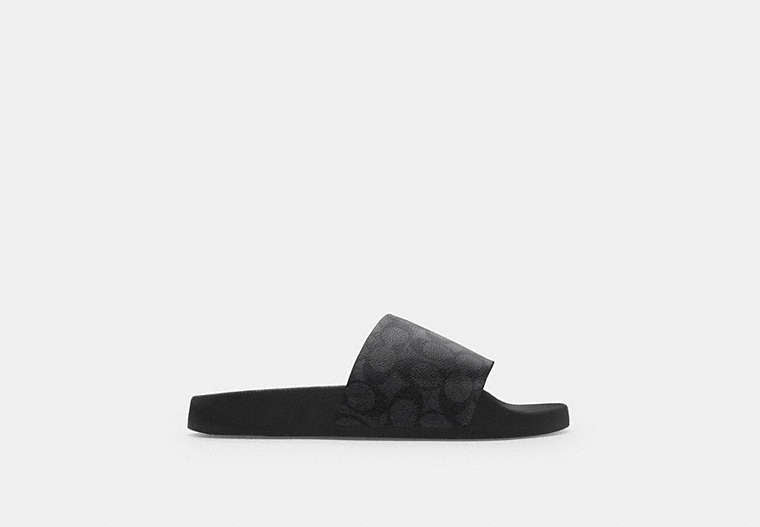 Slide In Signature Canvas