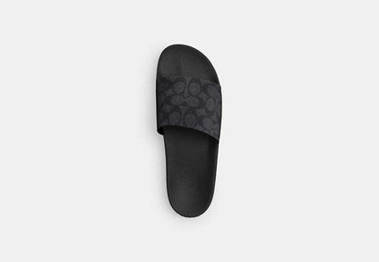 Slide In Signature Canvas