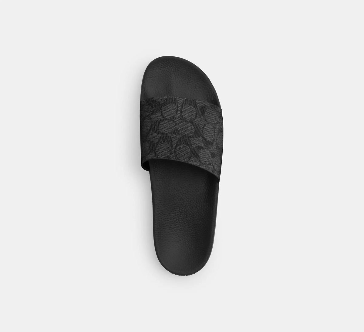 Slide In Signature Canvas