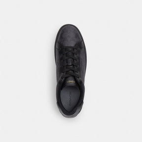 High Line Sneaker In Signature Canvas