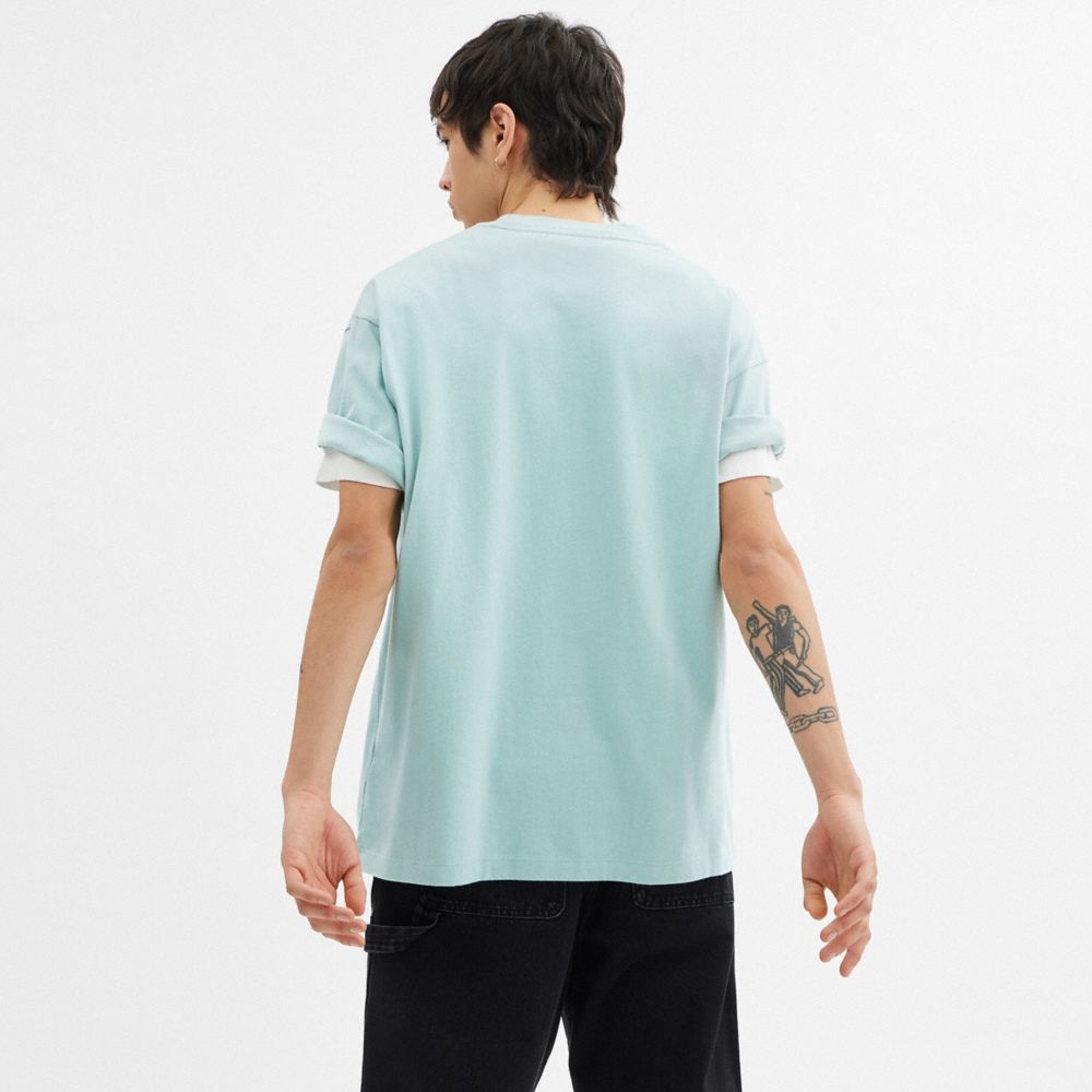 Stegosaurus Relaxed T Shirt In Organic Cotton