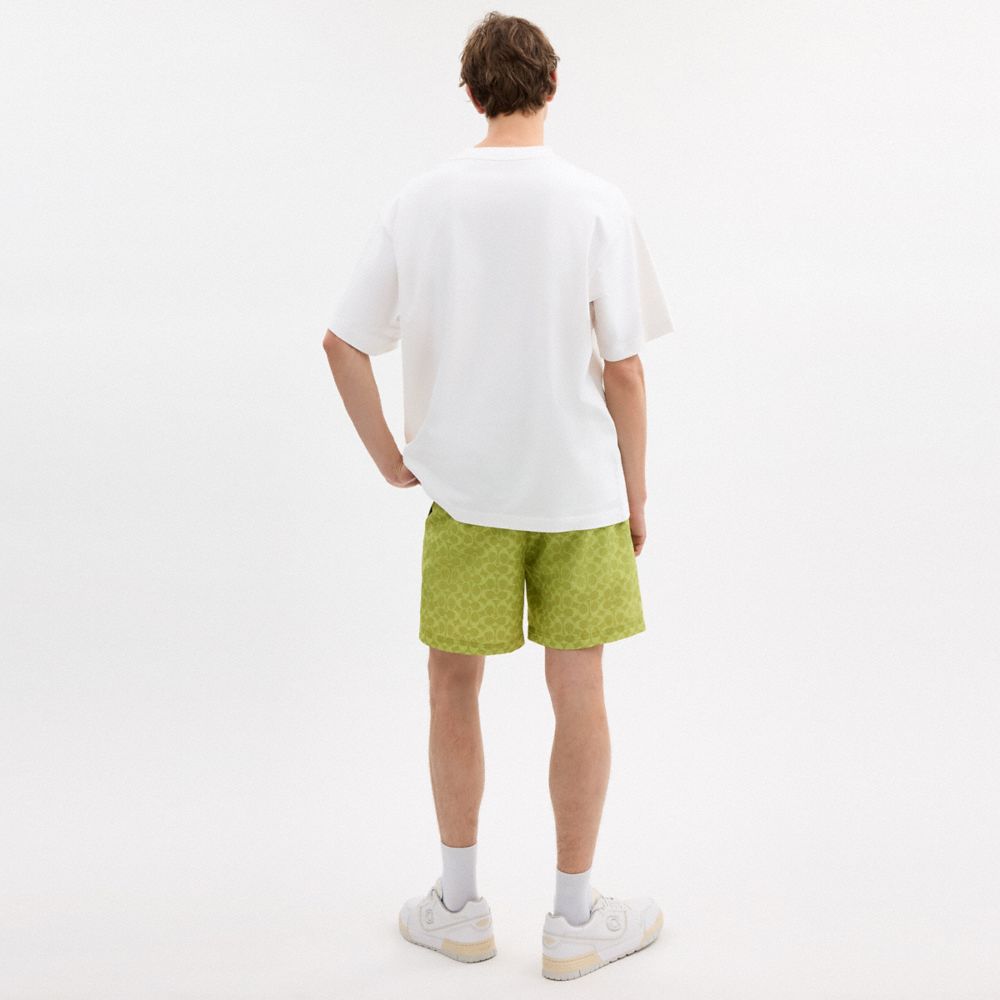 Pear Relaxed T Shirt In Organic Cotton