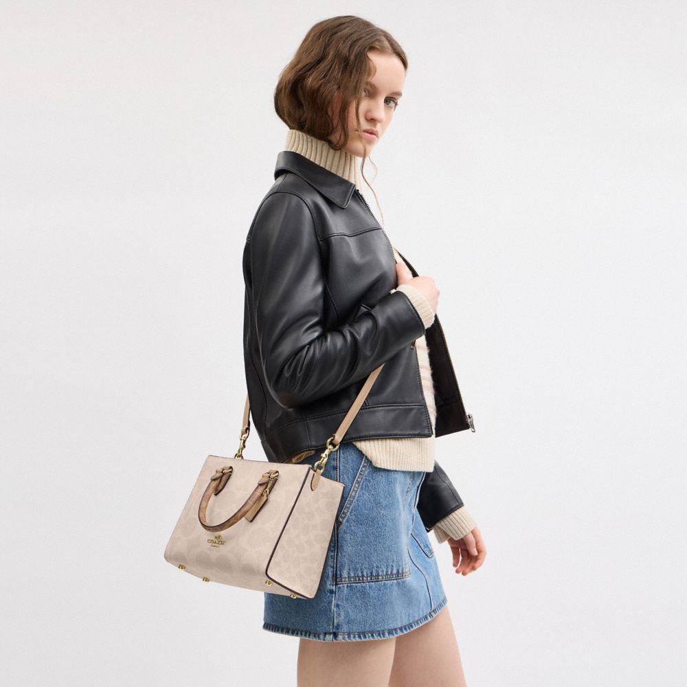 Maggie Small Tote Bag In Blocked Signature Canvas