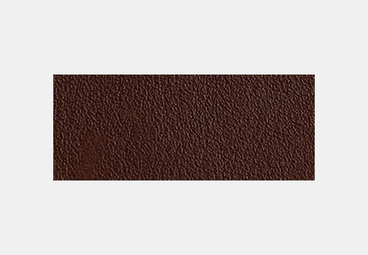 Card Case