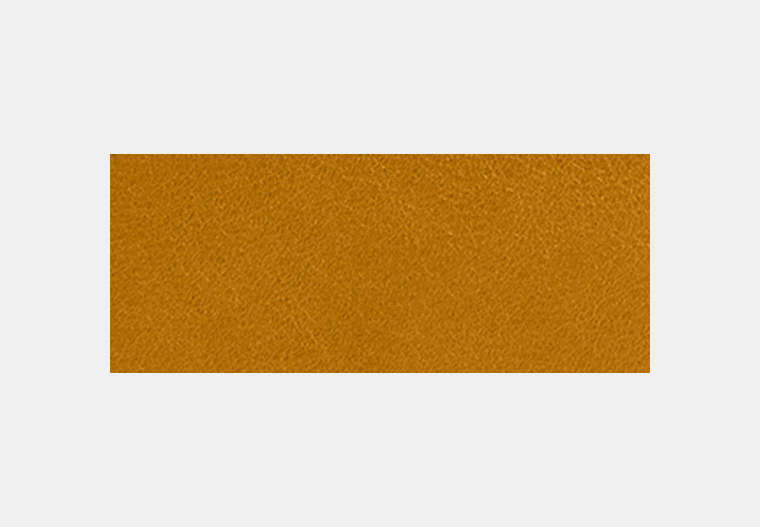 Card Wallet