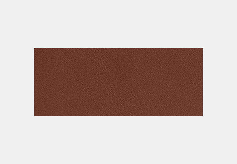 Card Wallet