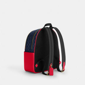 Court Backpack