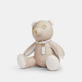 Collectible Bear In Signature Canvas