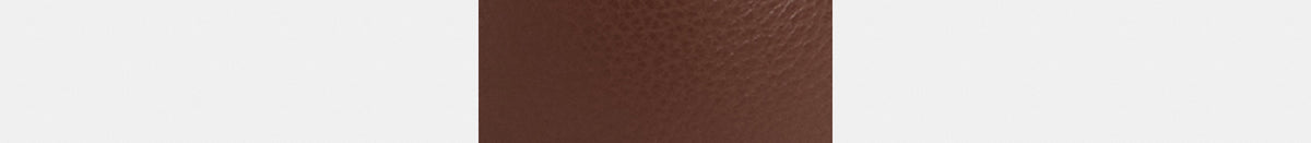 Collectible Bear In Signature Canvas