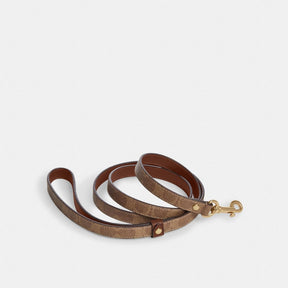 Boxed Small Pet Leash In Signature Canvas