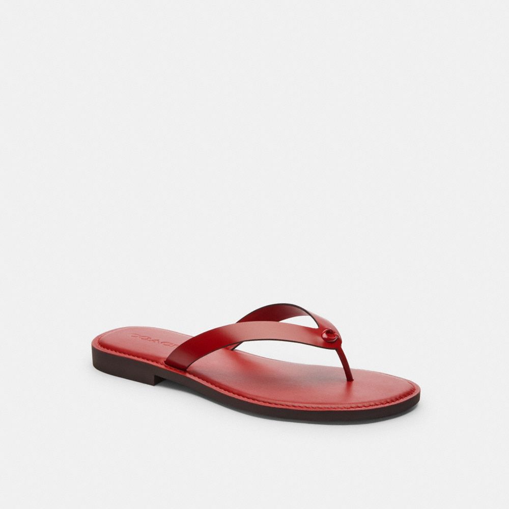 Brianna Flip Flop