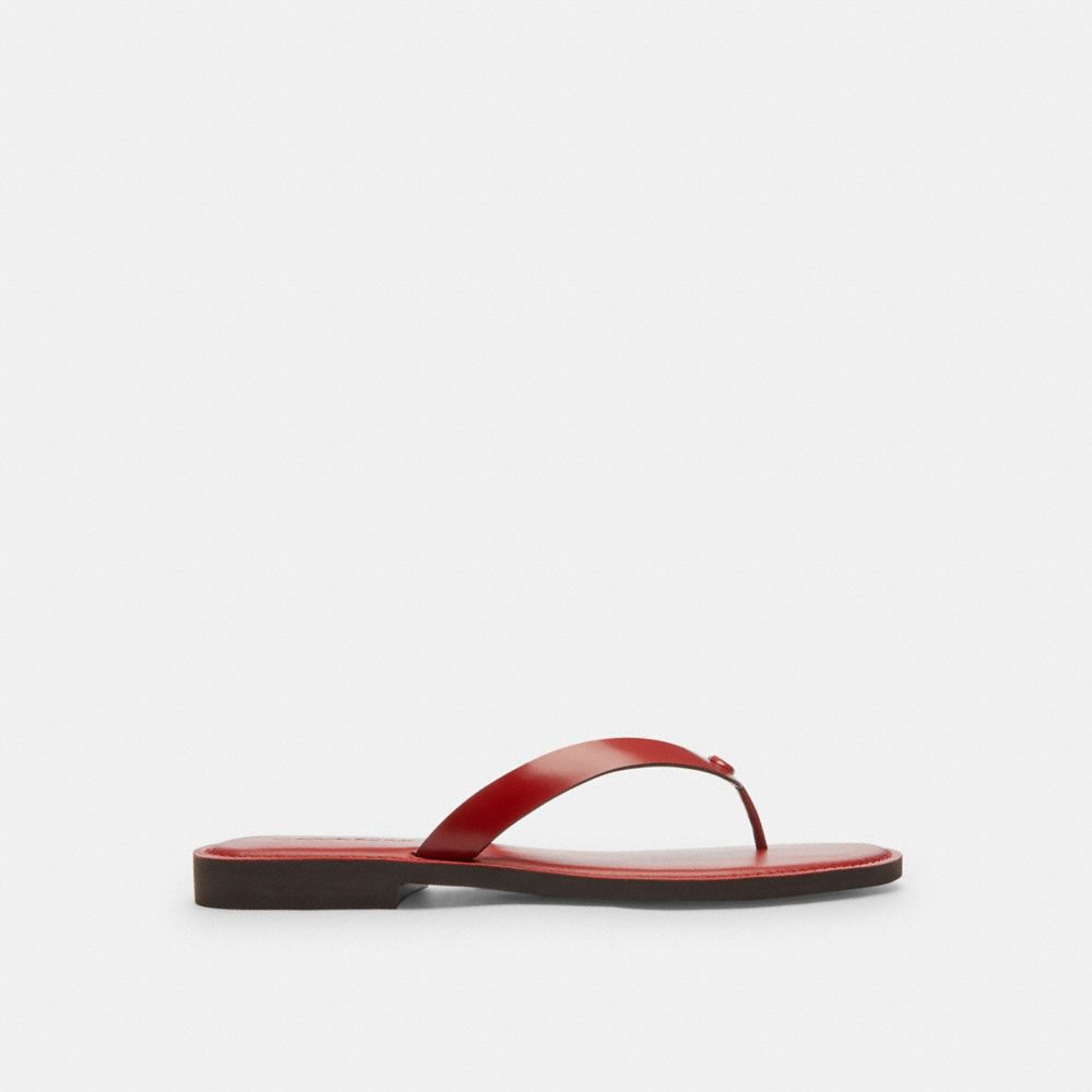 Brianna Flip Flop
