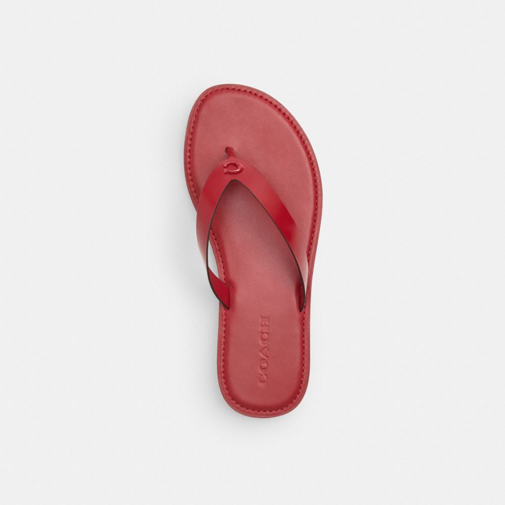 Brianna Flip Flop