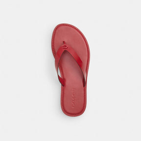 Brianna Flip Flop