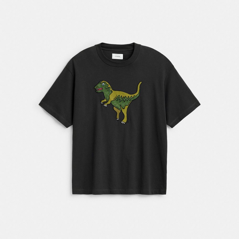 Rexy Relaxed Fit T-Shirt In Organic Cotton