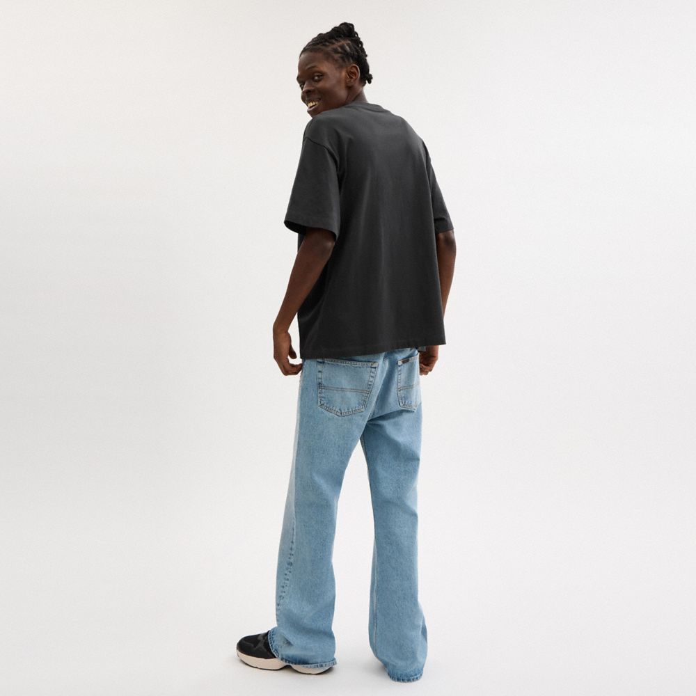 Rexy Relaxed Fit T-Shirt In Organic Cotton