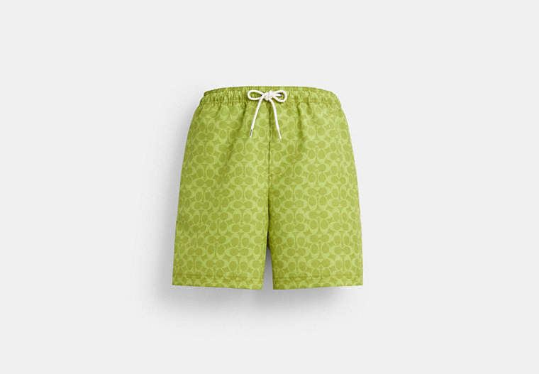 Signature Swim Trunks In Recycled Polyester