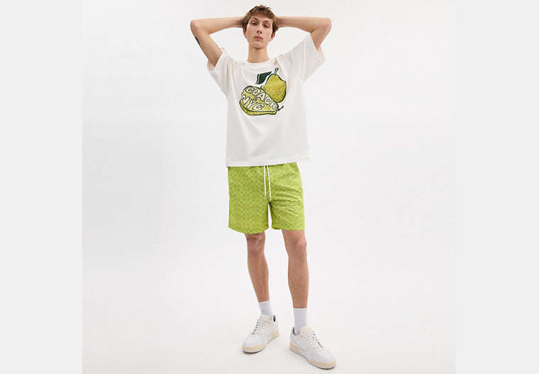 Signature Swim Trunks In Recycled Polyester