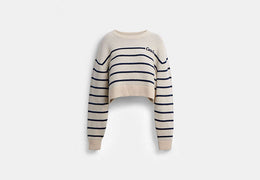 Cursive Signature Striped Cropped Sweater
