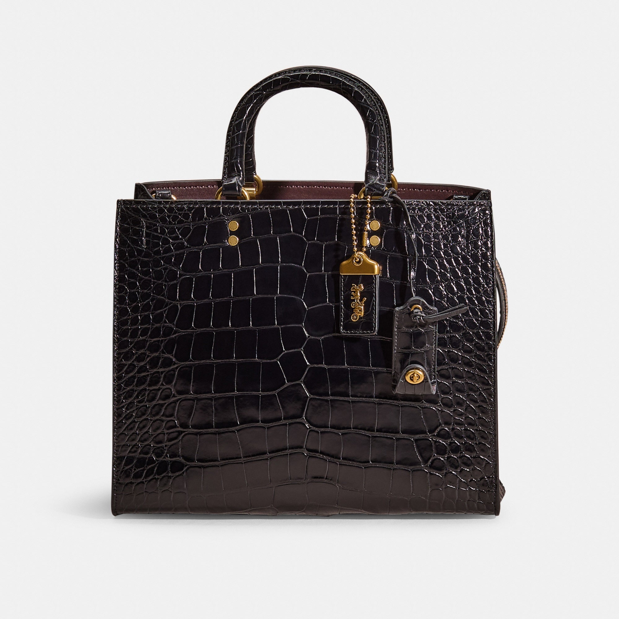 Restored Rogue In Alligator