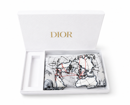 GENUINE Dior Travel Bag VIP Gift Brand New Beautiful Print