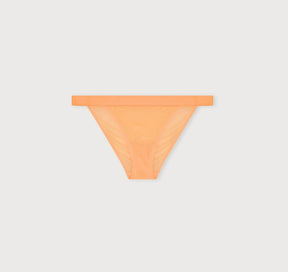 Mesh Tanga Briefs