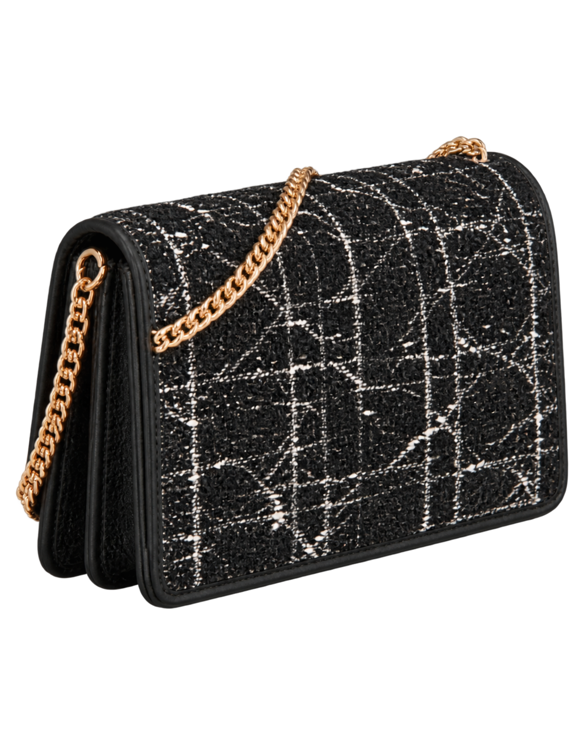 Dior Caro Pouch with Chain