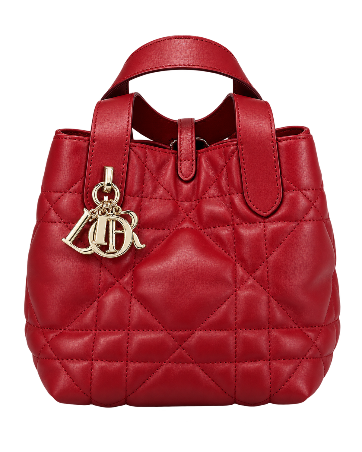 Dior Toujours Vertical Tote Bag
