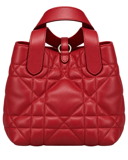 Dior Toujours Vertical Tote Bag