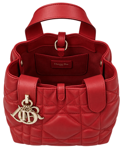 Dior Toujours Vertical Tote Bag