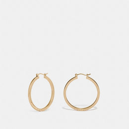 Hoop Earrings