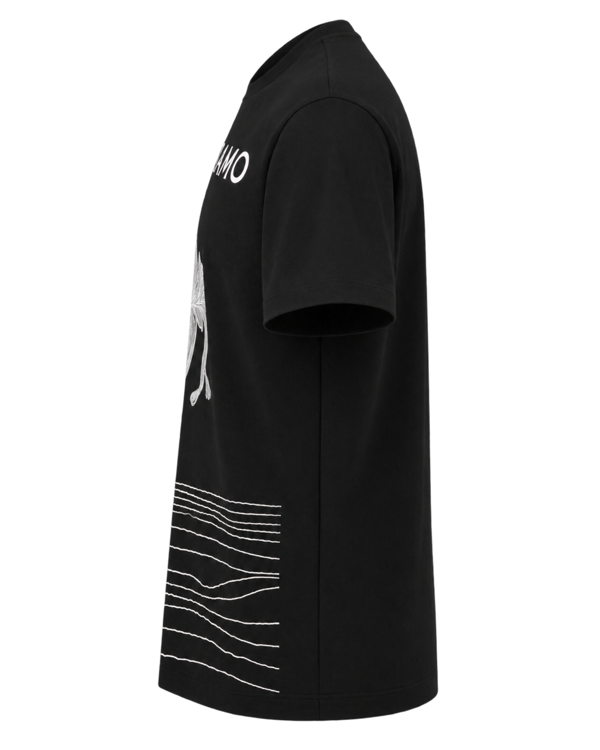Ferragamo Printed Cotton T-Shirt