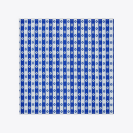 Gingham Dinner Napkin, Set of 4