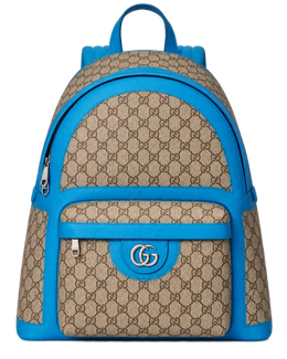 Gucci Ophidia leather bag