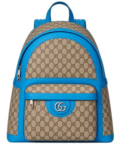 Gucci Ophidia leather bag
