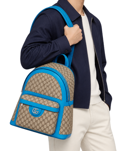 Gucci Ophidia leather bag