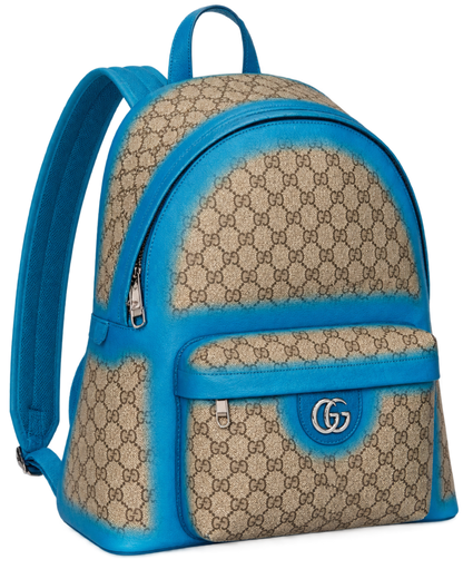Gucci Ophidia leather bag