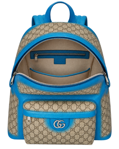 Gucci Ophidia leather bag