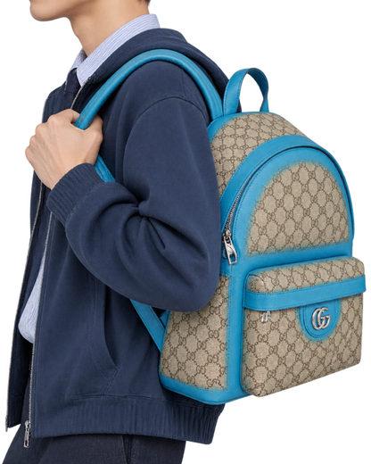 Gucci Ophidia leather bag