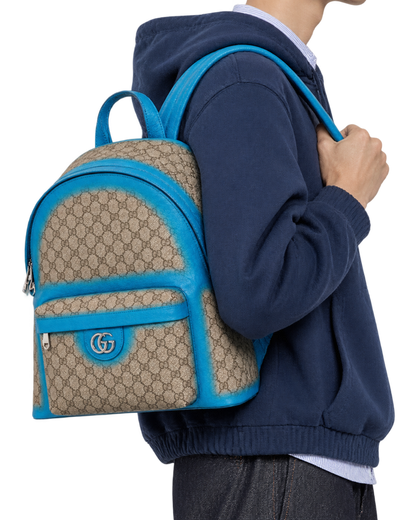 Gucci Ophidia leather bag
