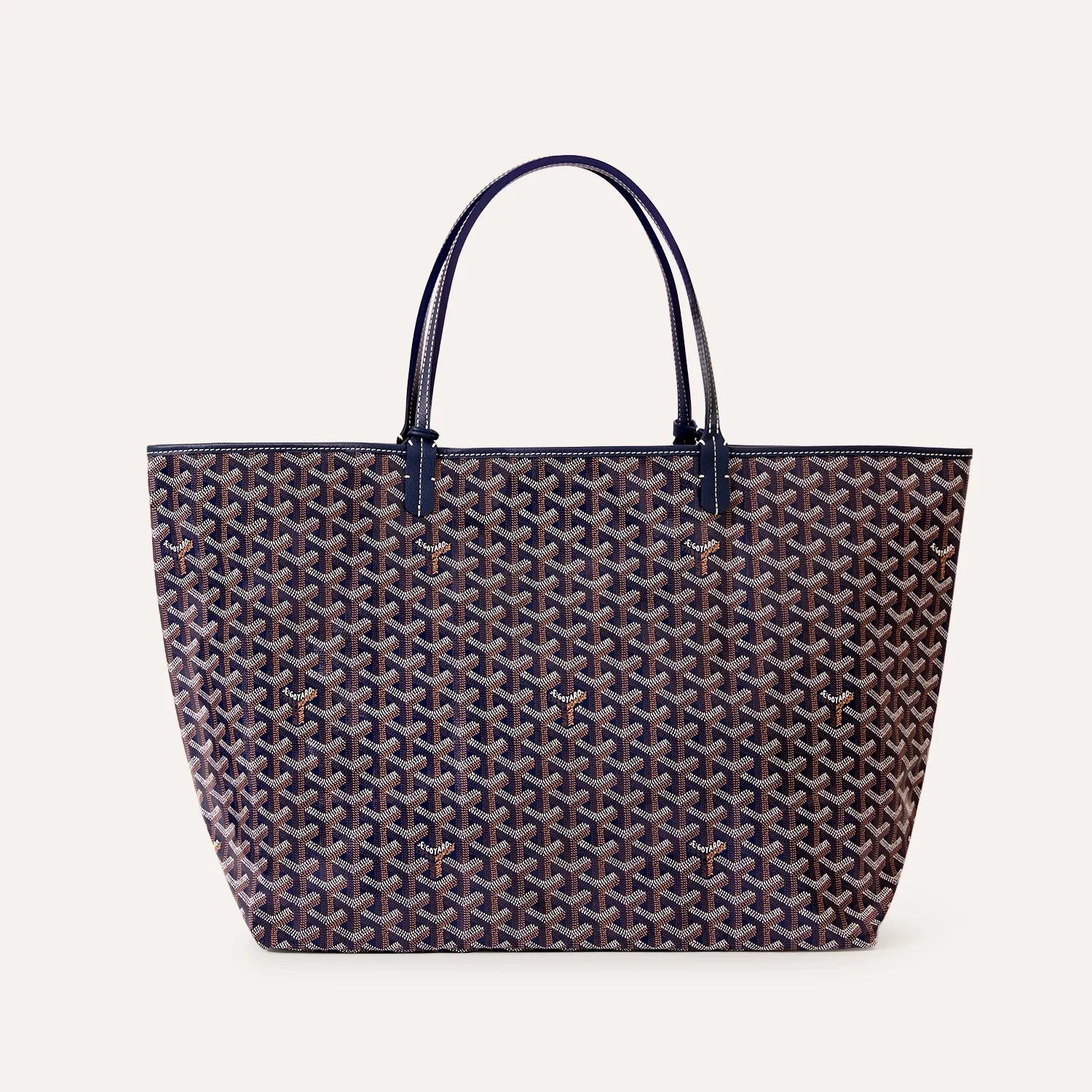 Saint Louis GM Bag
