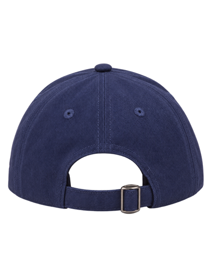 Health is Wealth Hat - Light Navy/White