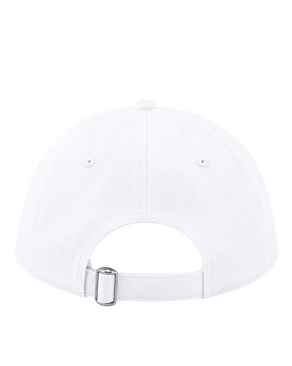 Health is Wealth Hat - White/Azure