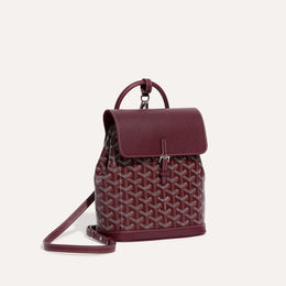 Alpin Mini Backpack