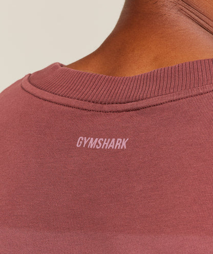 Gymshark Collegiate Washed Jersey T-Shirt - Burgundy Brown