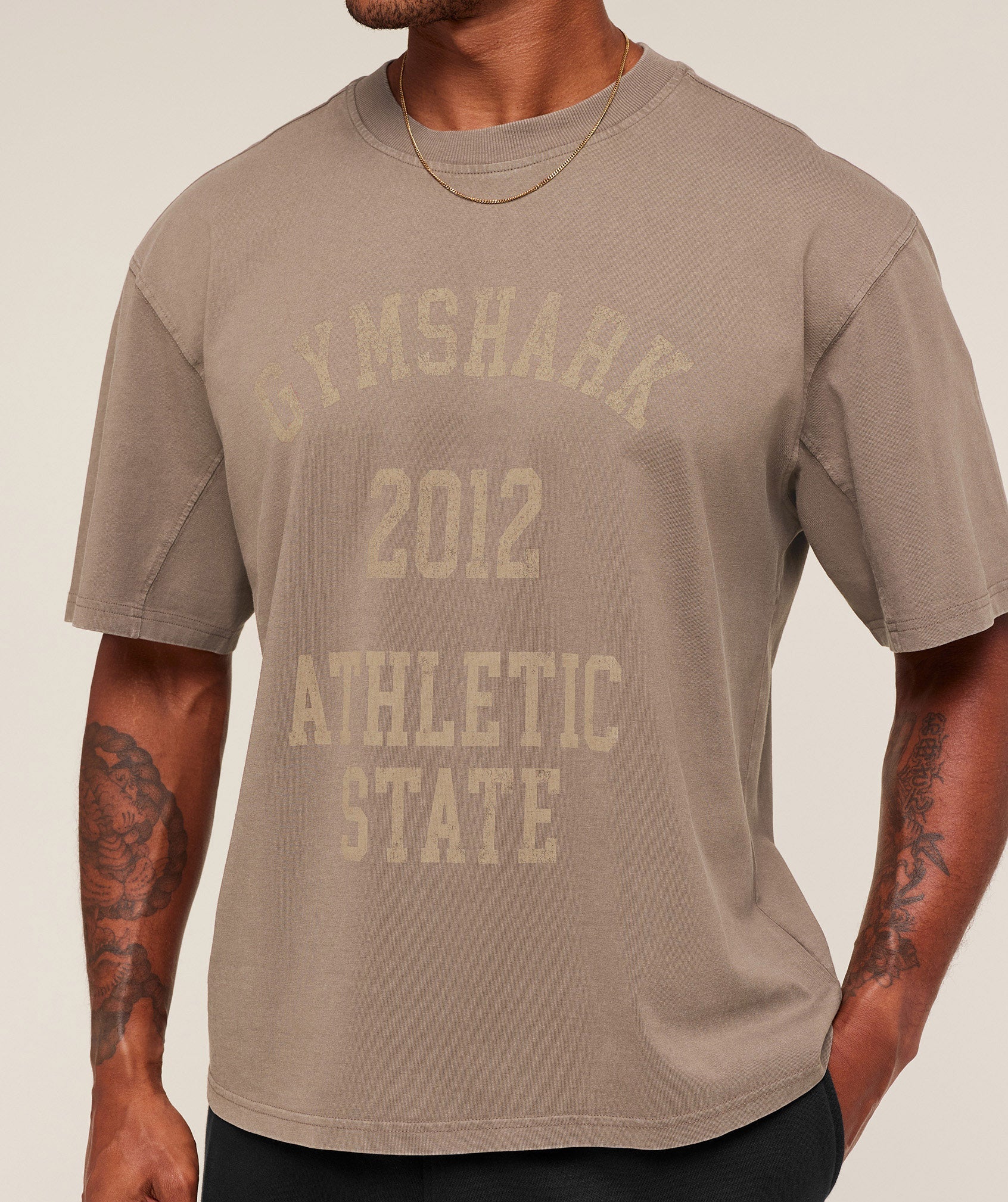 Gymshark Collegiate Washed T-Shirt - Soft Brown