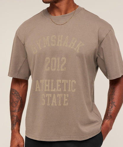 Gymshark Collegiate Washed T-Shirt - Soft Brown