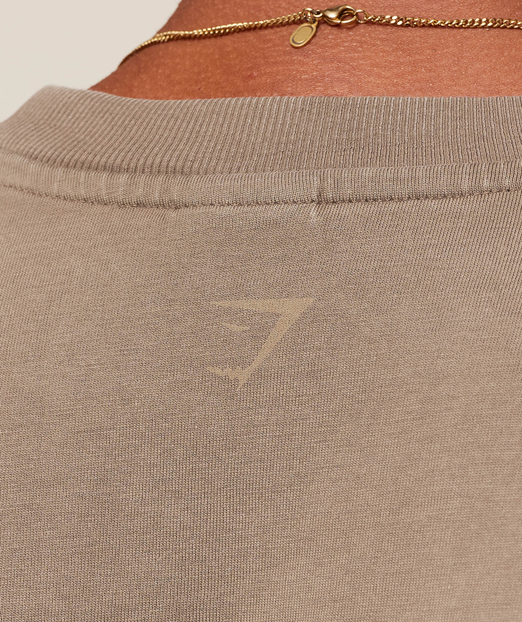 Gymshark Collegiate Washed T-Shirt - Soft Brown